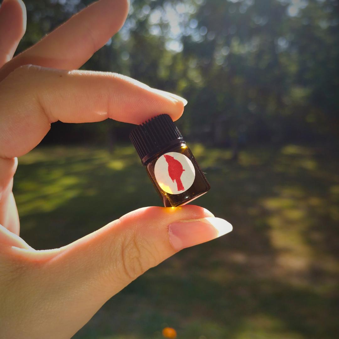 Once Bitten [Cherry - Chocolate - Honeycomb - Whipped Cream - Patchouli - Skin Musk]