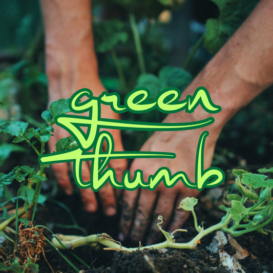 Green Thumb [Tomato Vine - Corn Silk - Chervil - Beetroot - Garden Hose Mist - Dirt]