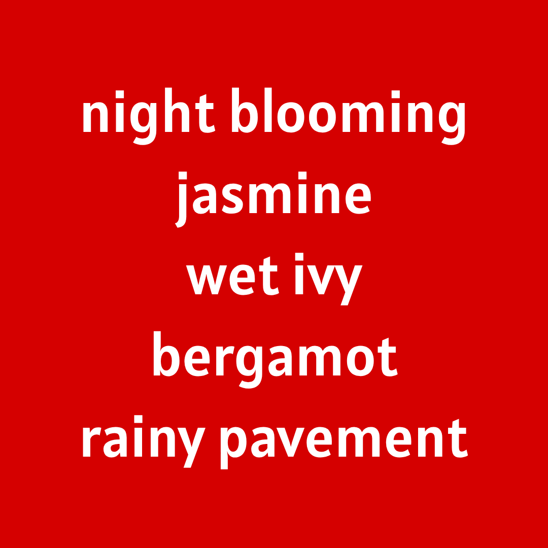Night Owl [Night Blooming Jasmine - Wet Ivy - Bergamot - Rainswept Pavement]