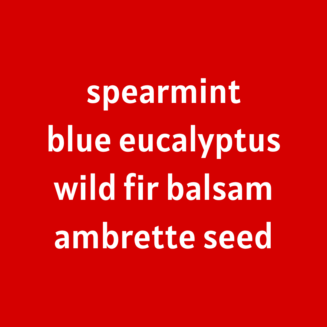 Swan Princess [Spearmint - Blue Eucalyptus - Wild Fir Balsam - Ambrette Seed]